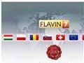 flavin7_logo.jpg